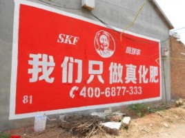  临颍刷墙广告”蕴含了时代命题