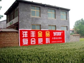  临颍如何让墙体广告展现最大化效果