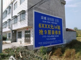  临颍墙体广告质量分析
