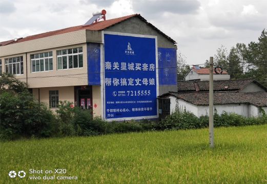 临颍决定墙体广告价格的因素有哪些?