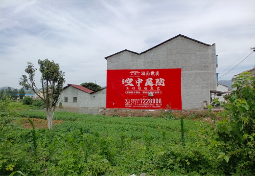  临颍做墙体广告的意义