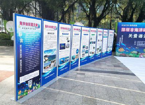  临颍KT板的种类和知识。